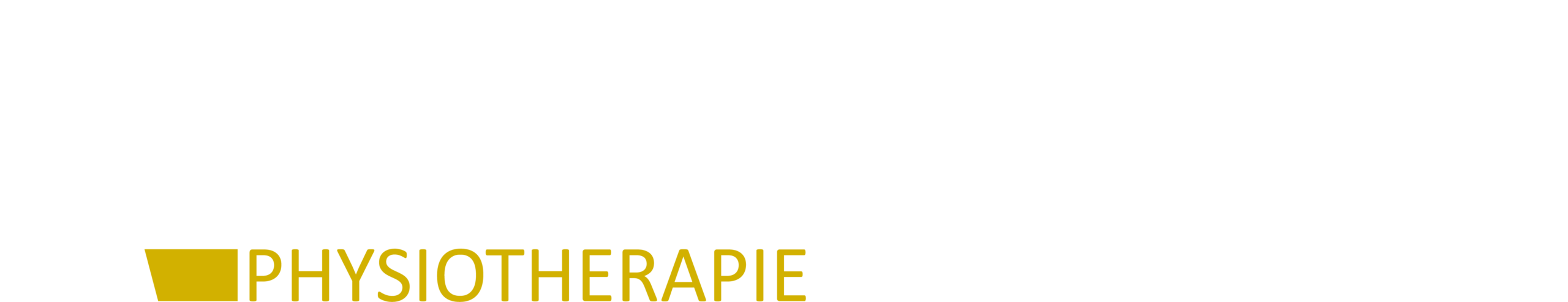 ANDRUKONIS Physiotherapie & Orthopädie Logo